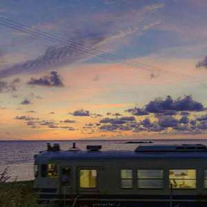 一级片黄色视频
