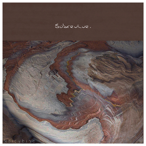 一级片黄色视频
