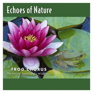 一级片黄色视频
